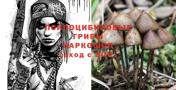 спайс Алексин