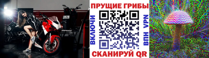 где можно купить наркотик Карпинск Галлюциногенные грибы ЛСД