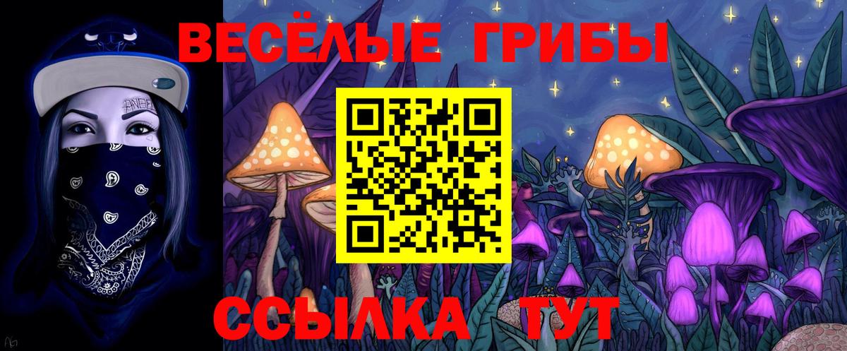Псилоцибиновые грибы Cubensis Карпинск